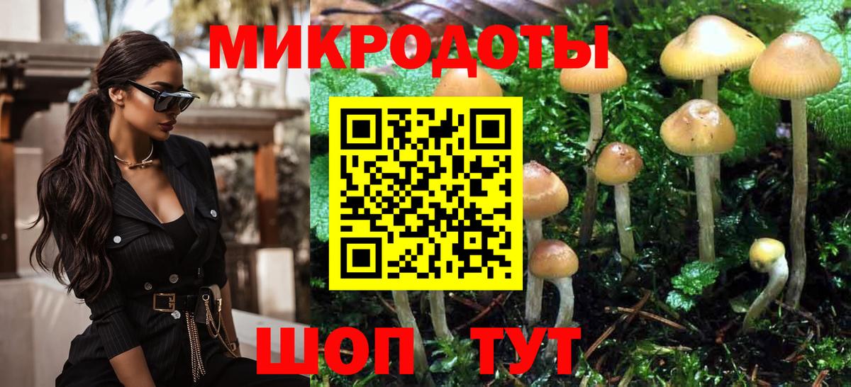 хочу наркоту  Вход с VPN  Псилоцибиновые грибы MAGIC MUSHROOMS  Вышний Волочёк  Галлюциногенные грибы Psilocybine cubensis 
